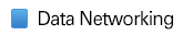 Data Networking